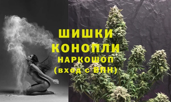 шишки Балабаново