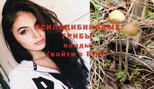 твердый Балахна