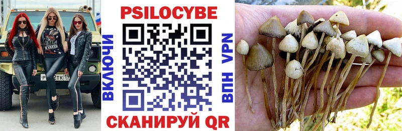 Галлюциногенные грибы мицелий  Урус-Мартан 